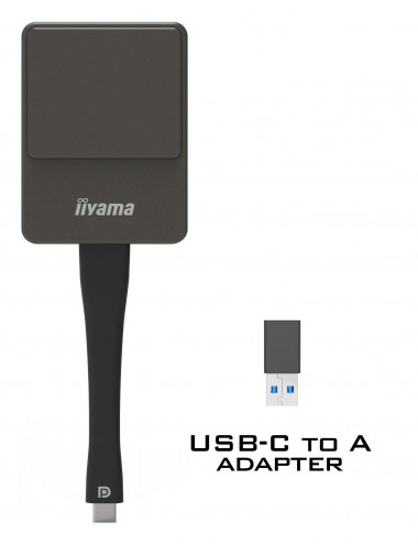 iiyama WP D002C adaptador Smart TV USB 4K Ultra HD Negro, Plata