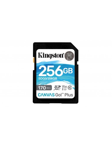 Kingston Technology Carte SDXC Canvas Go Plus 170R C10 UHS-I U3 V30 de 256 Go