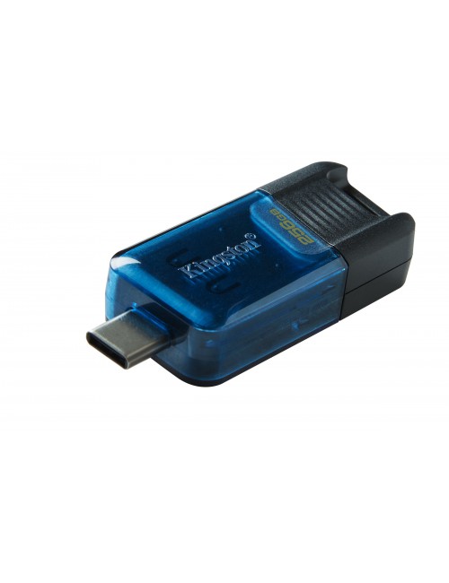 Kingston Technology DataTraveler 80 M unidad flash USB 256 GB USB Tipo C 3.2 Gen 1 (3.1 Gen 1) Negro, Azul