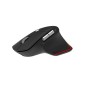 Acer Easy Fit Mouse - Retail pack souris Droitier RF sans fil + Bluetooth 4000 DPI Acer Easy Fit Mouse - Retail pack souris Droitier RF sans fil + Bluetooth 4000 DPI
