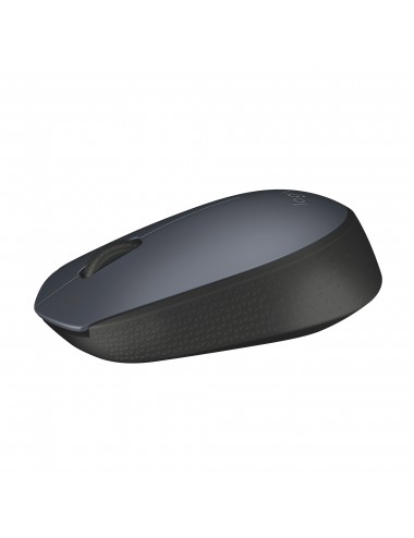 Logitech M170 Grey-K souris Ambidextre RF sans fil Optique 1000 DPI