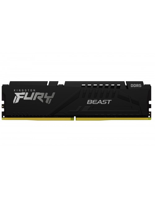 Kingston Technology FURY Beast 32 GB 5600 MT s DDR5 CL40 DIMM Black