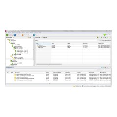 APC Subscription, EcoStruxure IT Data Center Expert, digital, 100 nodes - Professionnels