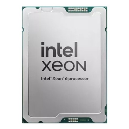 DELL Intel Xeon 6 Perfmance 6520P processeur 2,4 GHz 144 Mo