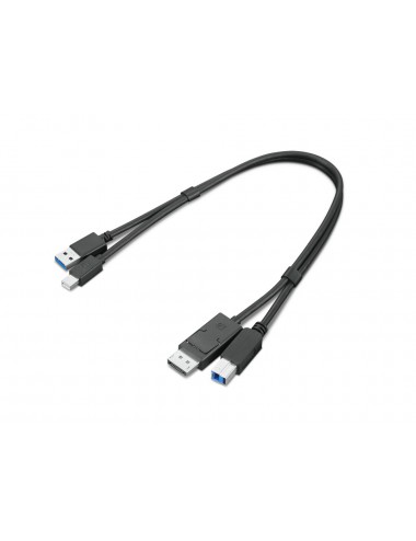 Lenovo 4X91D11453 câble USB 0,43 m USB 3.2 Gen 1 (3.1 Gen 1) USB A USB B Noir