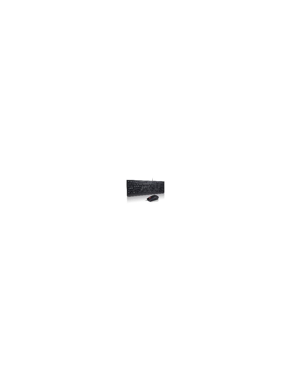 Lenovo 4X30L79922 clavier Souris incluse USB QWERTY Noir