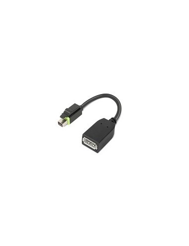 Lenovo 4X90Q93975 câble vidéo et adaptateur Mini DisplayPort DisplayPort Noir