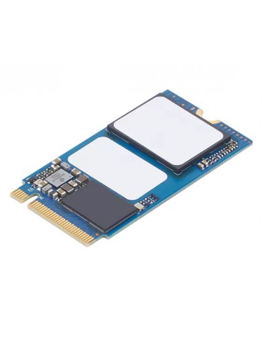 Lenovo 4XB1E26216 disque SSD M.2 1 To PCI Express 3.0 NVMe