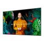 Samsung QM43C Écran plat de signalisation numérique 109,2 cm (43") LCD Wifi 500 cd/m² 4K Ultra HD Noir Intégré dans le