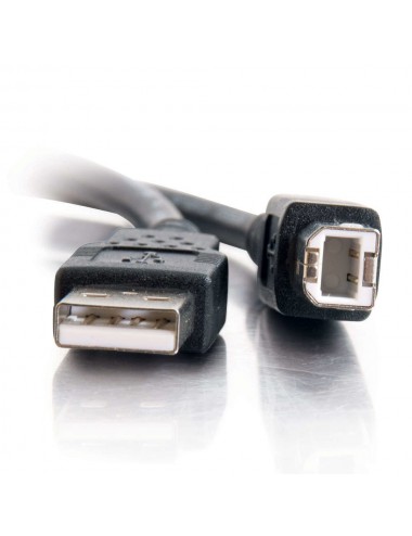 C2G Cable USB 2.0 A B de 2 m, negro