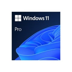 Win 11 Pro 64Bit EN DVD
