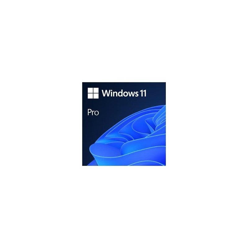 Win 11 Pro GGK 64Bit EN DVD