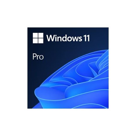Win 11 Pro GGK 64Bit EN DVD