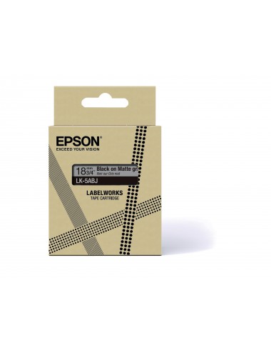 Epson C53S672087 ruban d'étiquette Noir sur gris LK