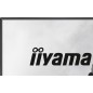 iiyama G2441HSU-B1 écran plat de PC 60,5 cm (23.8") 1920 x 1080 pixels Full HD LED Noir