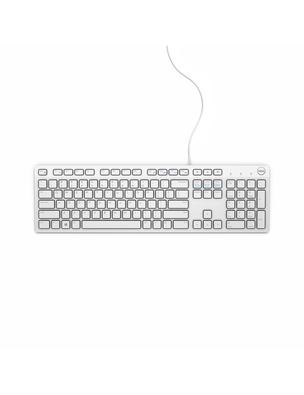 DELL KB216 tastiera Universale USB AZERTY Francese Bianco