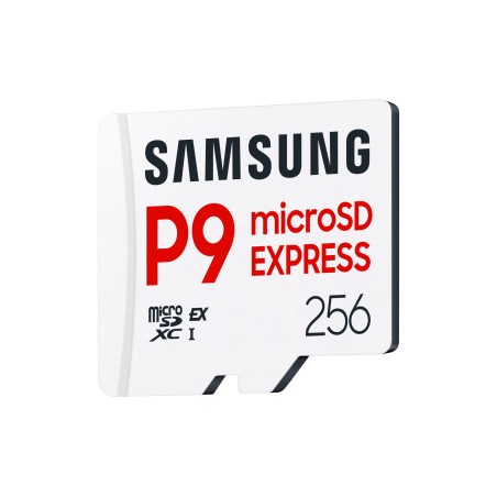 Samsung Carte microSD P9 Express 256 Go