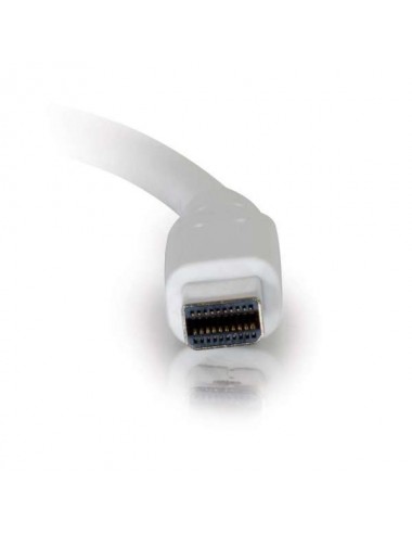 C2G 1m, Mini DisplayPort - DisplayPort Blanc