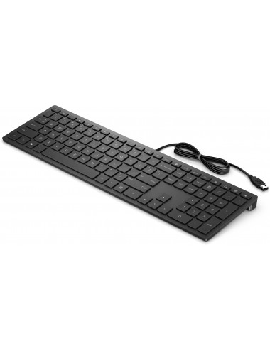 HP Pavilion Wired Keyboard 300