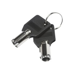 Masterkey for NB Security Lock Value