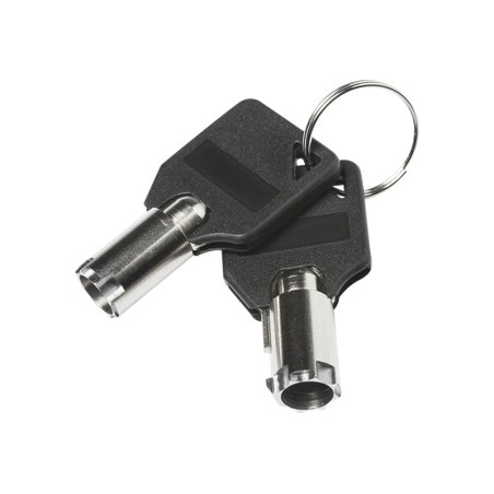Masterkey for NB Security Lock Value