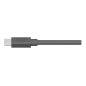 MeetUp 10m Mic Cable - GRAPHITE - WW MeetUp 10m Mic Cable - GRAPHITE - WW