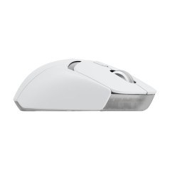 G309 LIGHTSPEED - WHITE - EER2-933