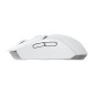 G309 LIGHTSPEED - WHITE - EER2-933 G309 LIGHTSPEED - WHITE - EER2-933
