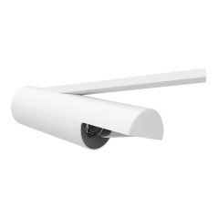 Scribe Polarizer