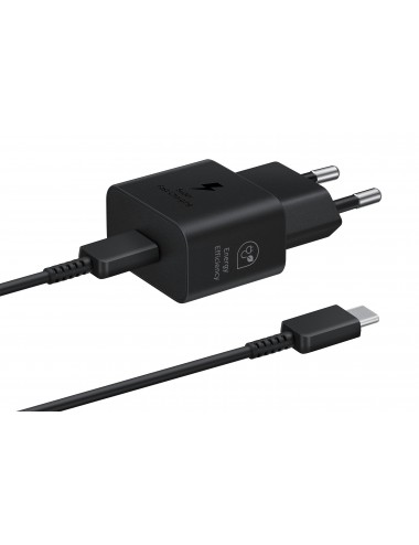 Samsung Caricabatterie Super Fast Charging (25W) con cavo da USB Type-C a USB Type-C