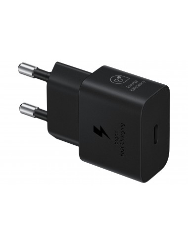 Samsung Caricabatterie Super Fast Charging (25W) con cavo da USB Type-C a USB Type-C