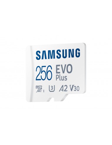 Samsung Carte MicroSD EVO Plus (2024) 256 Go