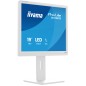 iiyama ProLite B1980S-W1 écran plat de PC 48,3 cm (19") 1280 x 1024 pixels SVGA LED Blanc iiyama ProLite B1980S-W1 écran plat de PC 48,3 cm (19") 1280 x 1024 pixels SVGA LED Blanc