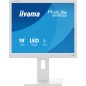 iiyama ProLite B1980S-W1 écran plat de PC 48,3 cm (19") 1280 x 1024 pixels SVGA LED Blanc iiyama ProLite B1980S-W1 écran plat de PC 48,3 cm (19") 1280 x 1024 pixels SVGA LED Blanc