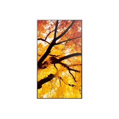 Sharp MultiSync M432 Écran plat de signalisation numérique 108 cm (42.5") LCD 550 cd m² 4K Ultra HD Noir