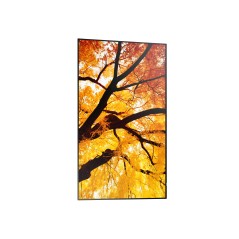 Sharp MultiSync M432 Écran plat de signalisation numérique 108 cm (42.5") LCD 550 cd m² 4K Ultra HD Noir