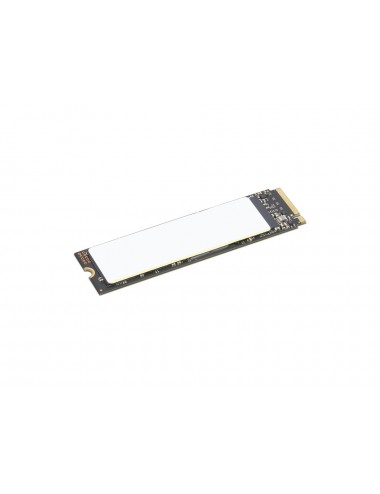 Lenovo 4XB1M86954 drives allo stato solido 512 GB M.2 PCI Express 4.0 NVMe