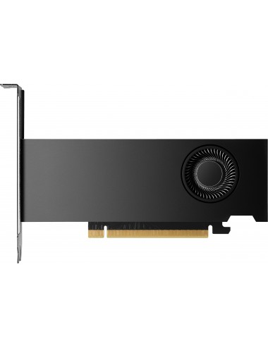 HP NVIDIA RTX PH x2xxx 4mDP Graphics