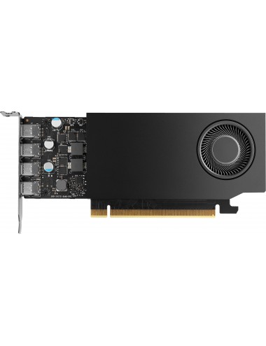 HP NVIDIA PH x4xx 3mDP Graphics