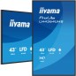 iiyama LH4364UHS-B1AG Écran d'affichage dynamique Écran plat de signalisation numérique 109,2 cm (43") LED Wifi 500 cd/m² 4K