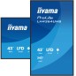 iiyama LH4364UHS-B1AG Écran d'affichage dynamique Écran plat de signalisation numérique 109,2 cm (43") LED Wifi 500 cd/m² 4K