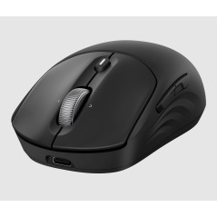 HP Souris sans fil rechargeable 700