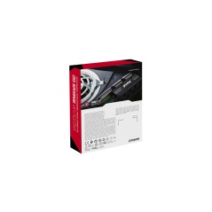 Kingston Technology 2000G RENEGADE PCIe 4.0 NVMe SSD W  Radiateur de dissipation thermique