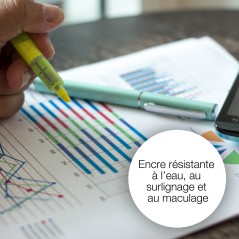Epson Apple Encre magenta DURABrite Ultra Pomme T1293