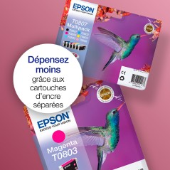 Epson Hummingbird Cartouche "Colibri" - Encre Claria C