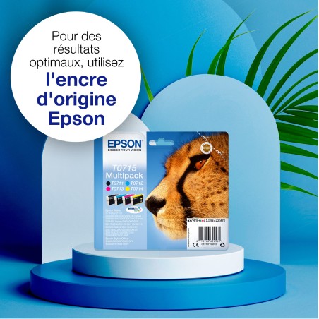 Epson Cheetah Singlepack Black T0711 DURABrite Ultra Ink