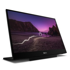 Lenovo ThinkVision M16 Moniteur
