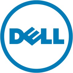 DELL 540-BCYL carte réseau Interne Fibre 25000 Mbit s