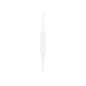 Belkin USB-C IN-EAR HEADPHONE White