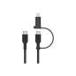 2-in-1 USB-C and LTG cable